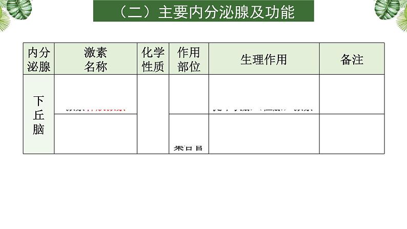 专题12 生命活动的调节(二)-2021年高考备考生物一轮复习课件(共98张PPT)08