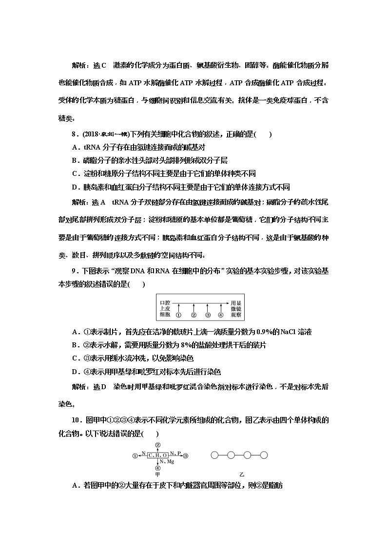 2019届高考生物一轮课时跟踪检测04《核酸、糖类与脂质 》(含解析)03