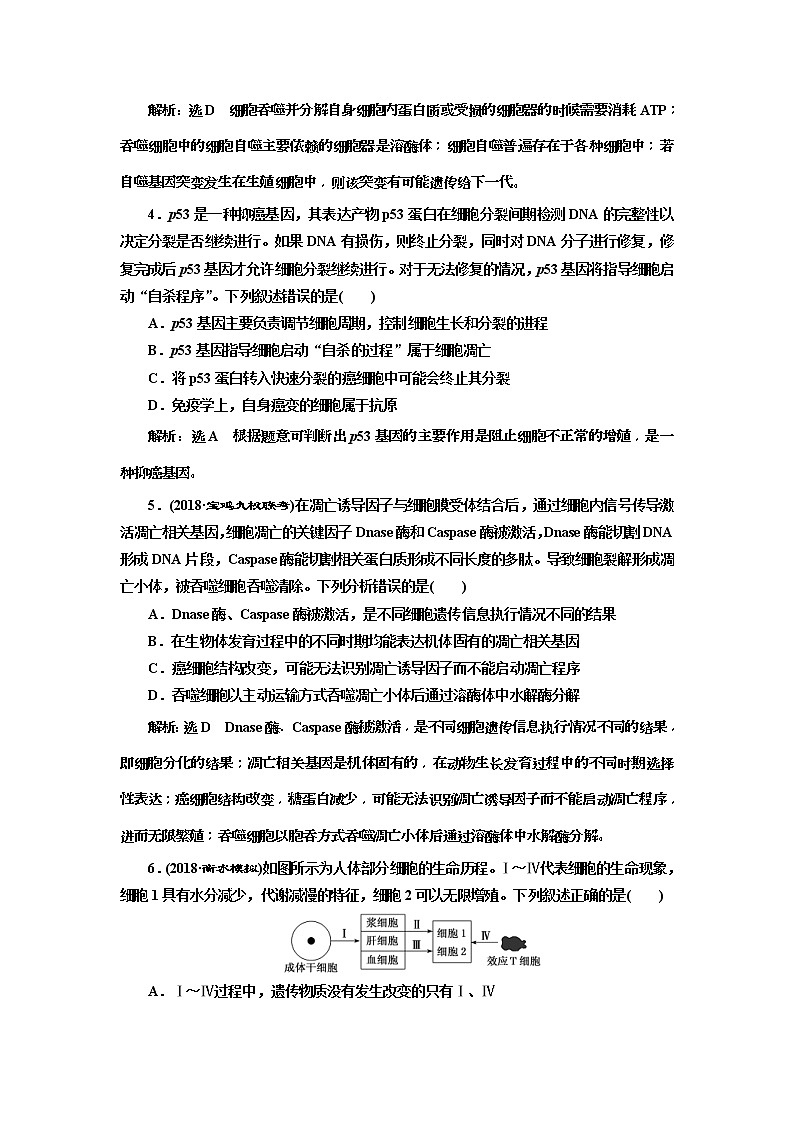 2019届高考生物一轮课时跟踪检测14《细胞的分化、衰老、凋亡和癌变 》(含解析)02