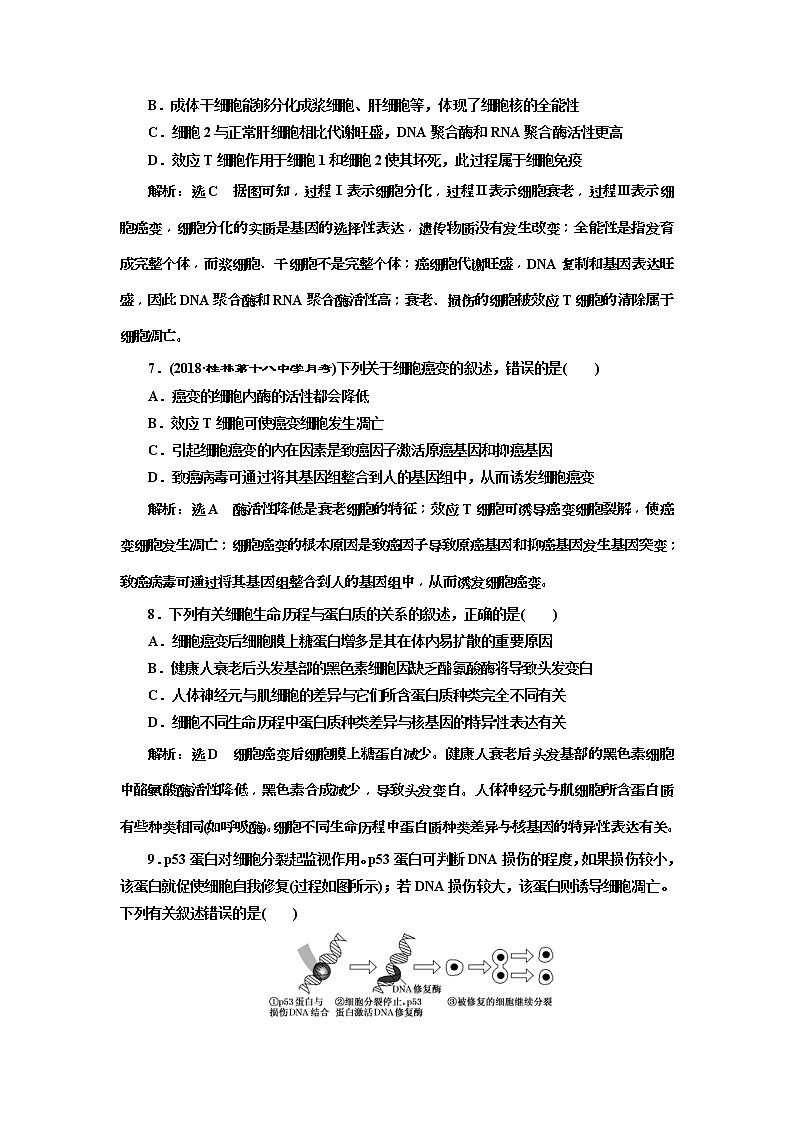 2019届高考生物一轮课时跟踪检测14《细胞的分化、衰老、凋亡和癌变 》(含解析)03