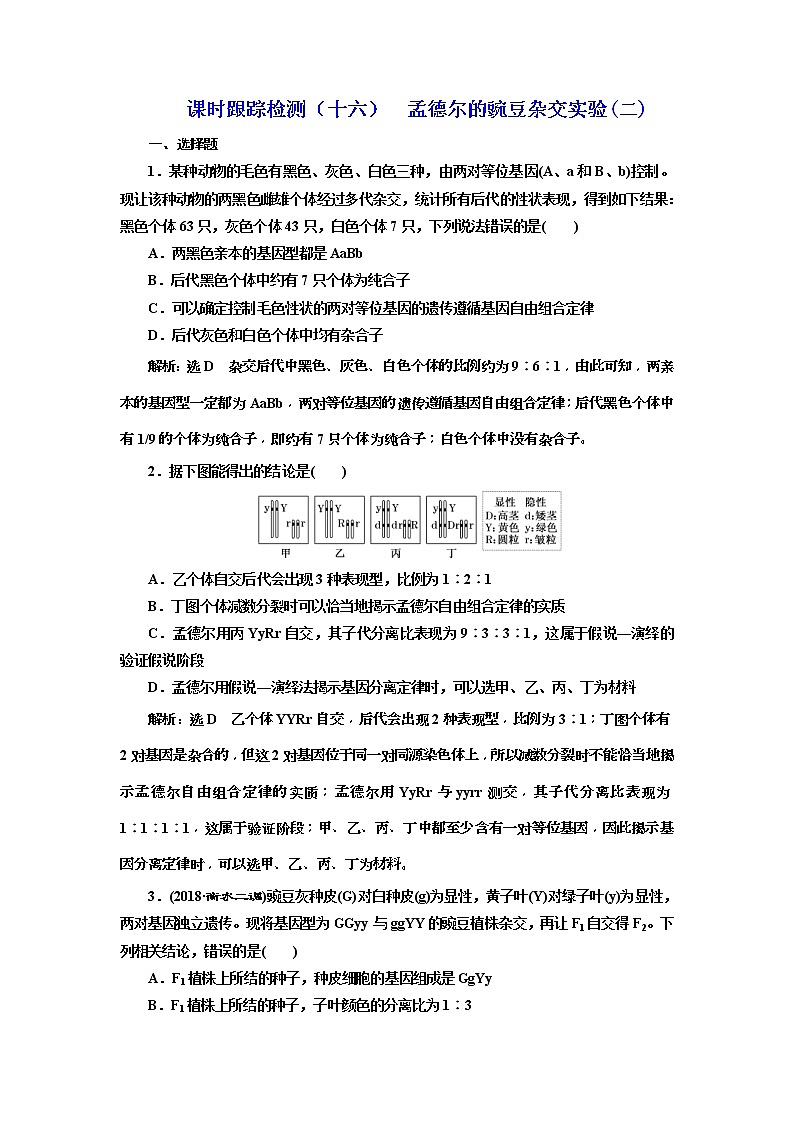 2019届高考生物一轮课时跟踪检测16《孟德尔的豌豆杂交实验(二) 》(含解析)01