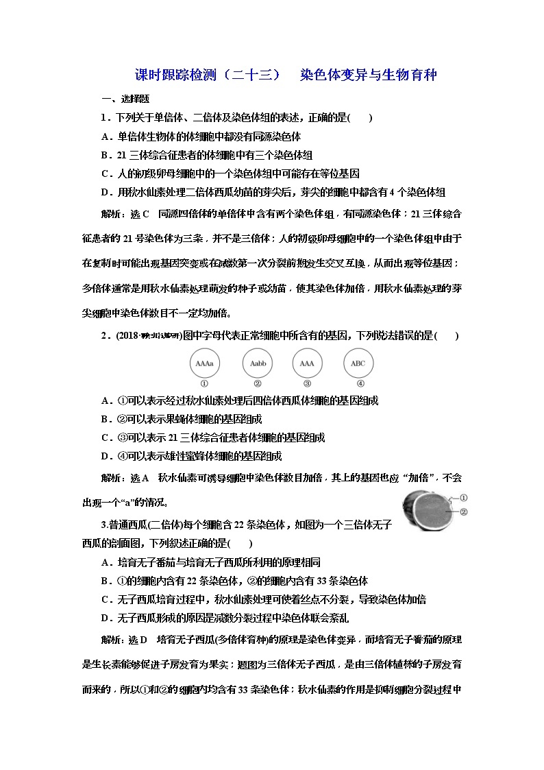 2019届高考生物一轮课时跟踪检测23《染色体变异与生物育种 》(含解析)01