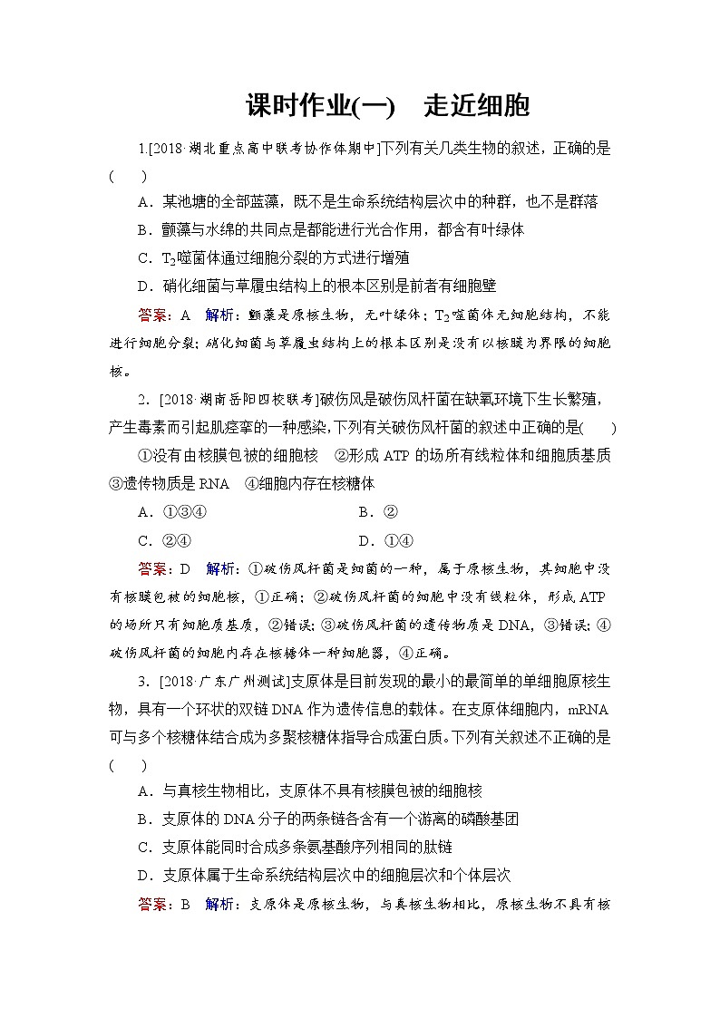 2019届高考生物一轮复习:课时作业1走近细胞(含解析) 练习01