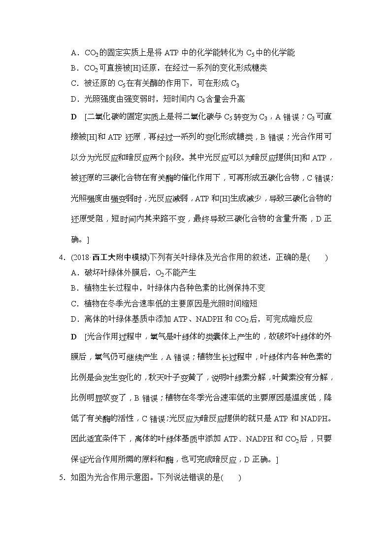 2019版高考生物一轮课时分层集训《10 光合作用(Ⅰ)》(含解析) 试卷02