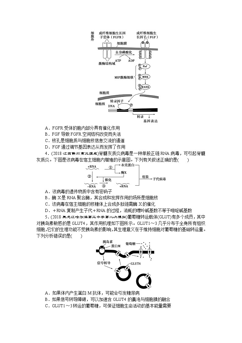 2019年高考生物二轮习题:05信息给予类 Word版含解析第2页