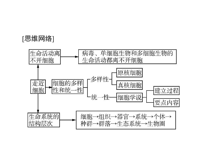 2020年高考生物一輪復習課件：必修1 第1章 第1、2節(jié) 從生物圈到細胞、細胞的多樣性和統(tǒng)一性(含答案)第3頁