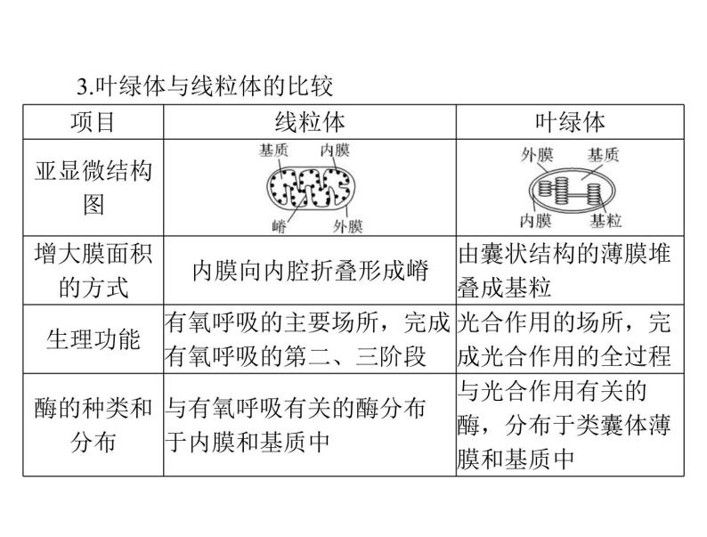 2020年高考生物一轮复习课件：必修1 第3章 第2节 细胞器--系统内的分工合作(含答案)08