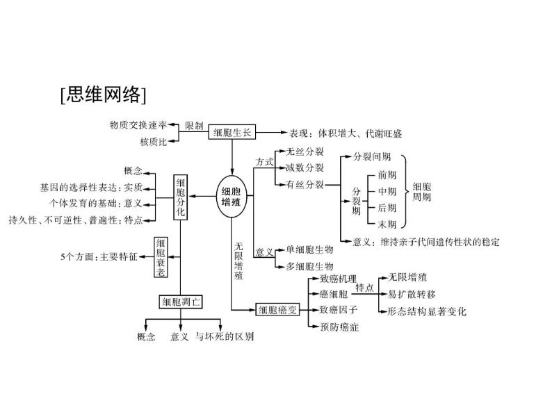 2020年高考生物一轮复习课件：必修1 第6章 第1节 细胞的增殖(含答案)03