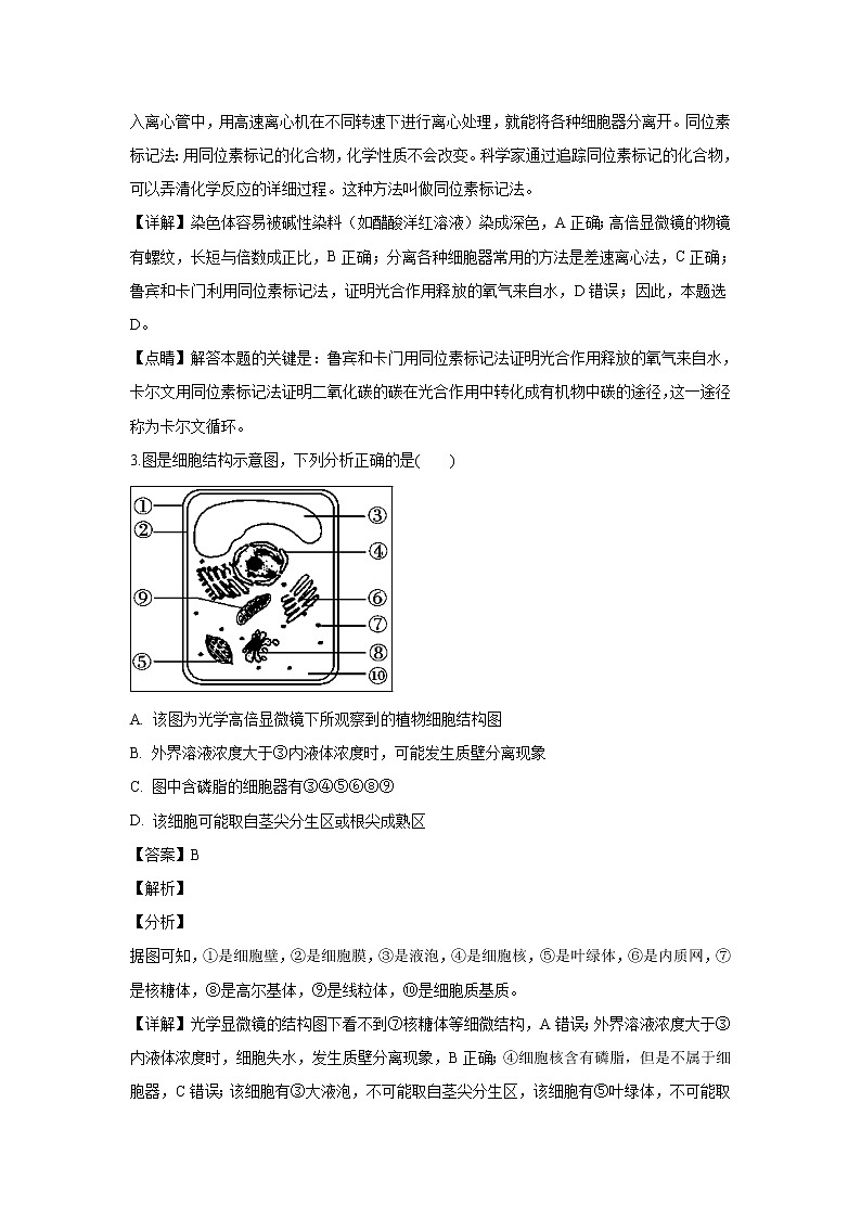 【生物】湖北省荆州中学、宜昌一中等“荆、荆、襄、宜四地七校考试联盟”2018-2019学年高二上学期期中考试试题 (解析版)第2页