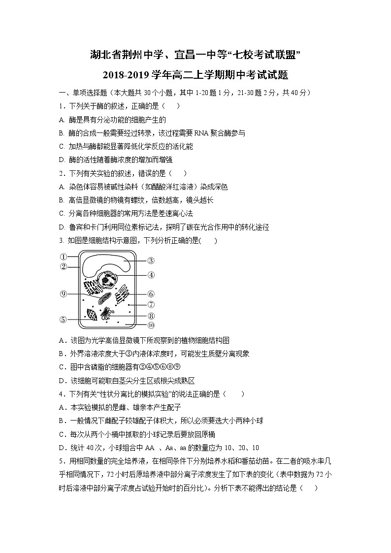 【生物】湖北省荆州中学、宜昌一中等“七校考试联盟”2018-2019学年高二上学期期中考试试题01