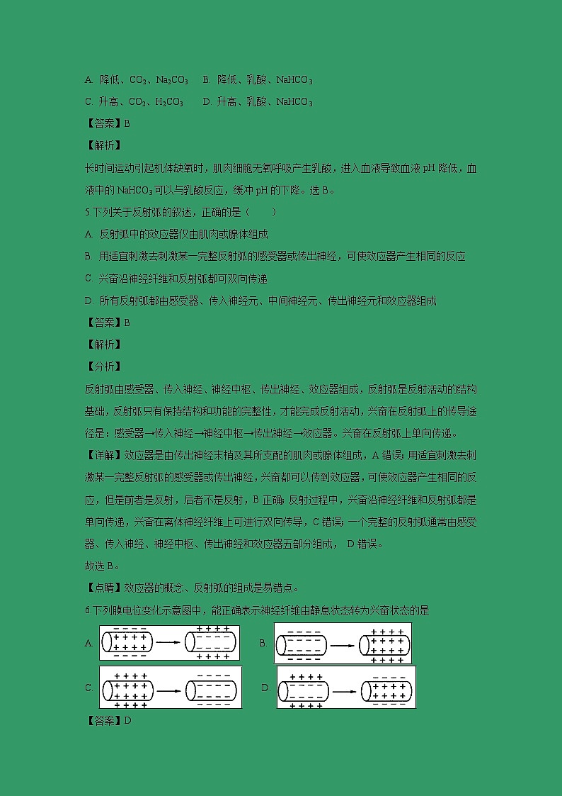 【生物】湖北省孝感市七校教学联盟2018-2019学年高二上学期期中联合考试试题 (解析版)03