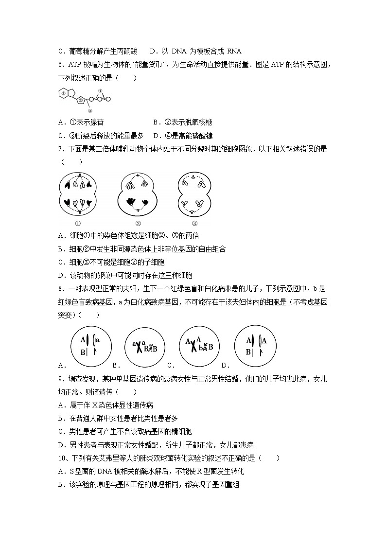 【生物】遼寧省六校協(xié)作體2018-2019學(xué)年高二上學(xué)期期中考試試題第2頁