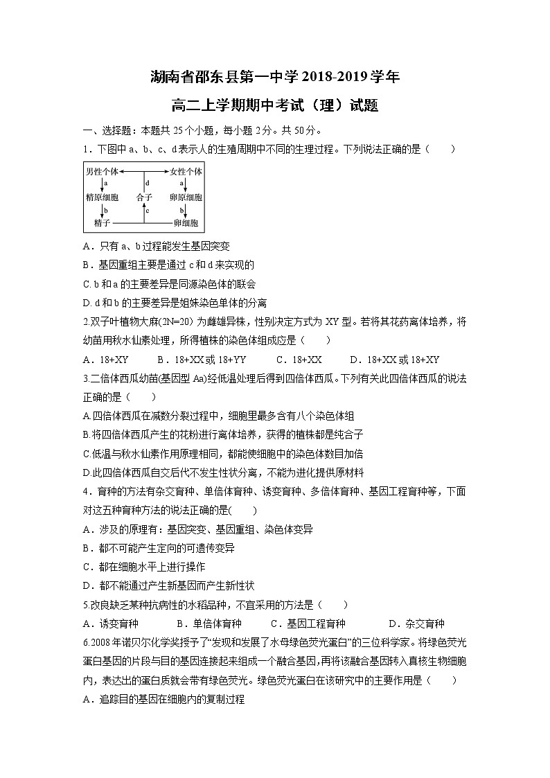【生物】湖南省邵东县第一中学2018-2019学年高二上学期期中考试(理)试题01