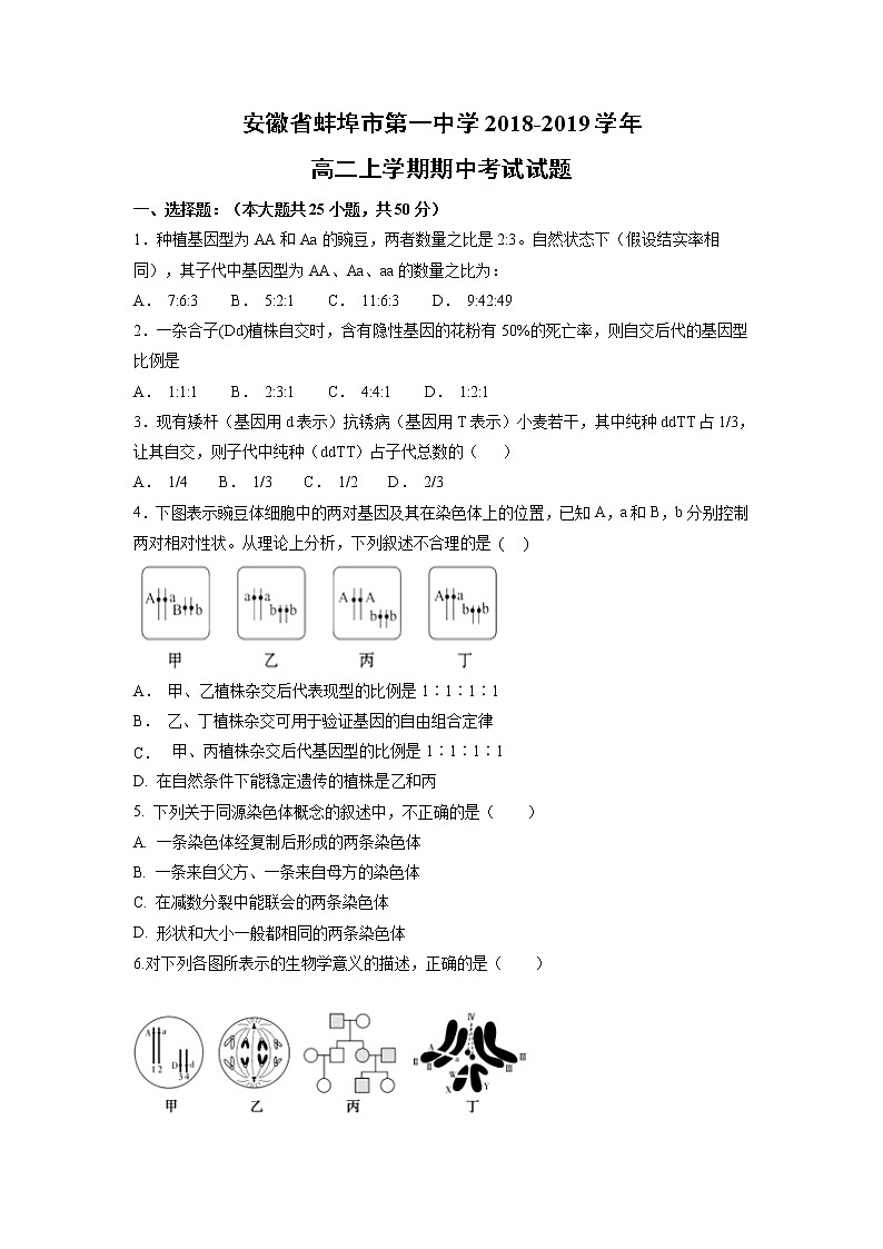 【生物】安徽省蚌埠市第一中学2018-2019学年高二上学期期中考试试题01