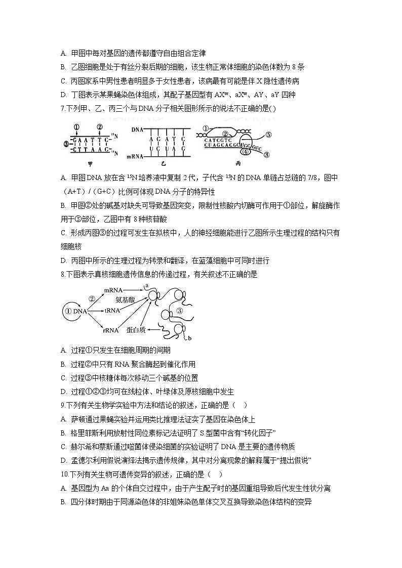 【生物】安徽省蚌埠市第一中学2018-2019学年高二上学期期中考试试题02