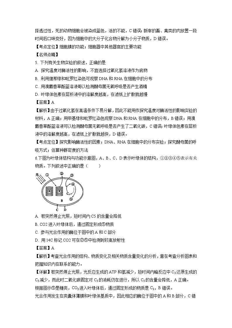 【生物】甘肃省会宁县第一中学2018-2019学年高二上学期期中考试(理)试卷(解析版)第3页