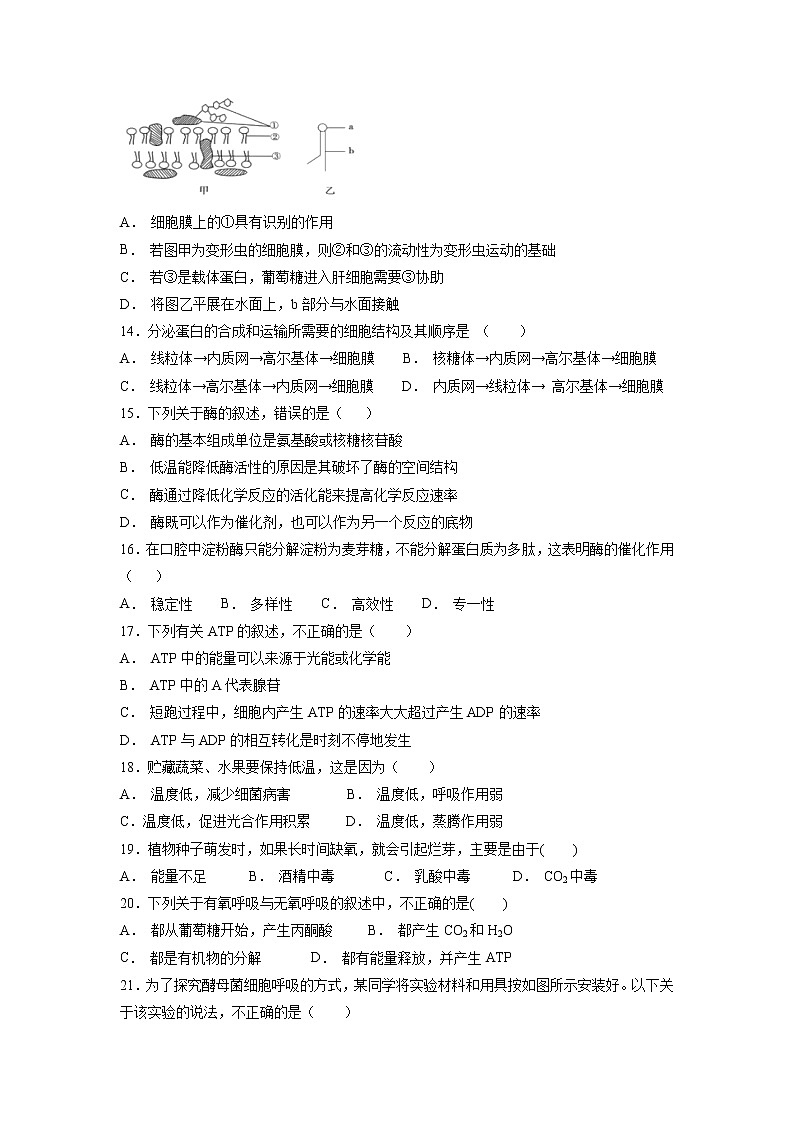 【生物】甘肃省靖远县第四中学2018-2019学年高二上学期期中考试试题第3页