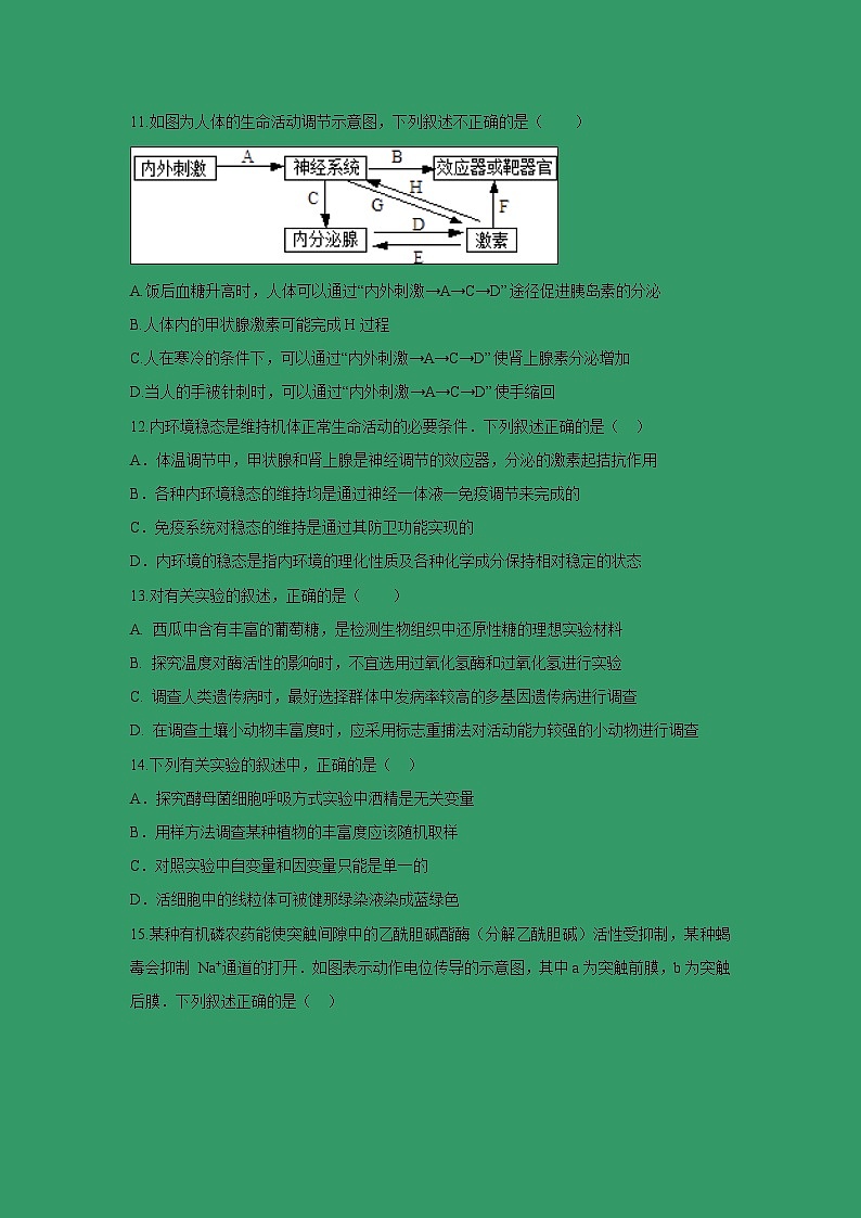 【生物】安徽省肥东县高级中学2018-2019学年高二上学期期中模考试题03