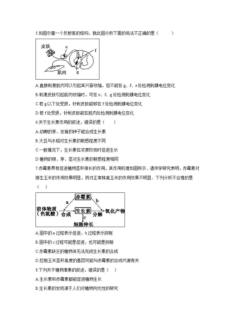 【生物】安徽省无为县第三中学2018-2019学年高二上学期期中模拟试题02