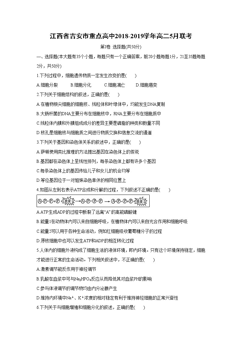 【生物】江西省吉安市重点高中2018-2019学年高二5月联考 试卷01