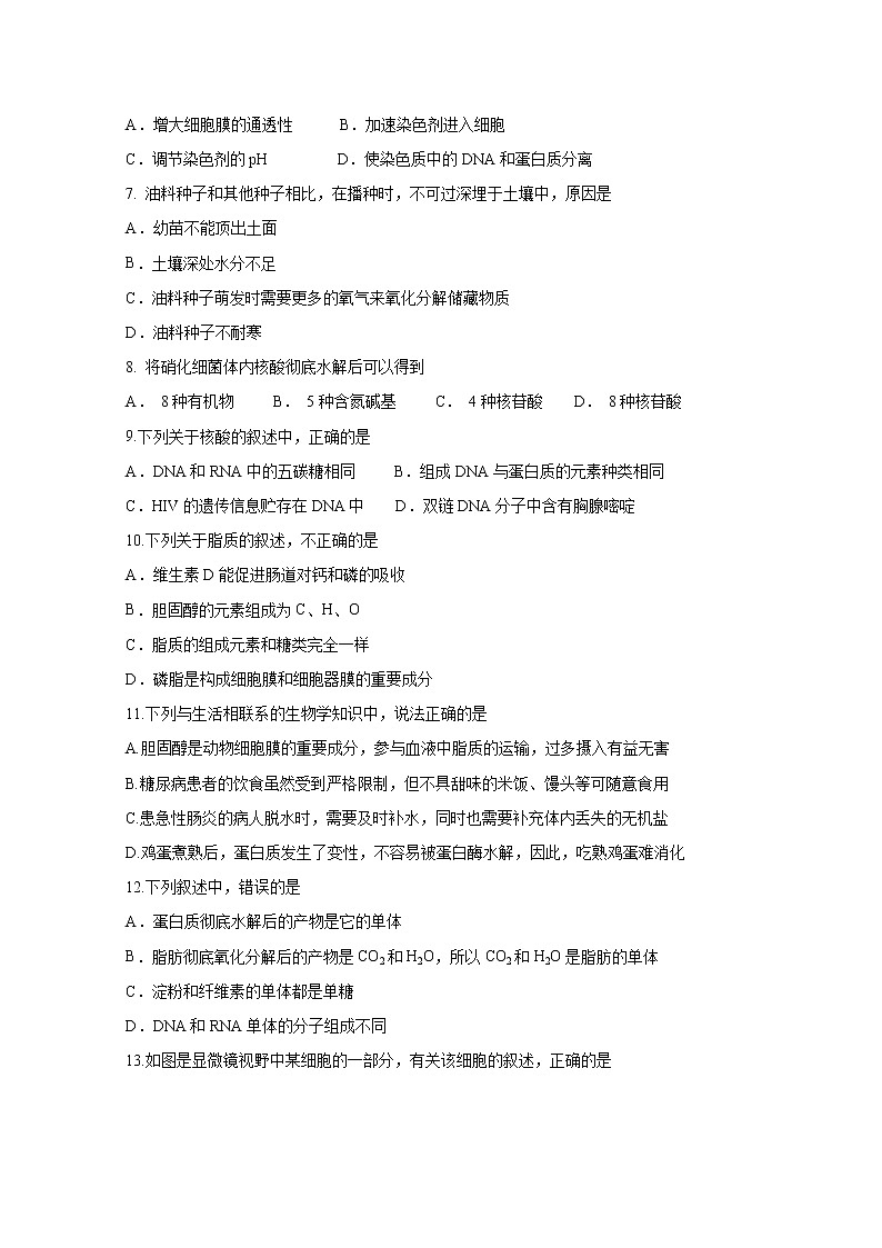 【生物】吉林省白城市第一中学2018-2019学年高二6月月考试题02
