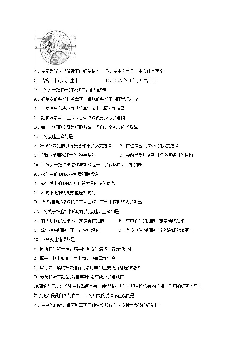 【生物】吉林省白城市第一中学2018-2019学年高二6月月考试题03