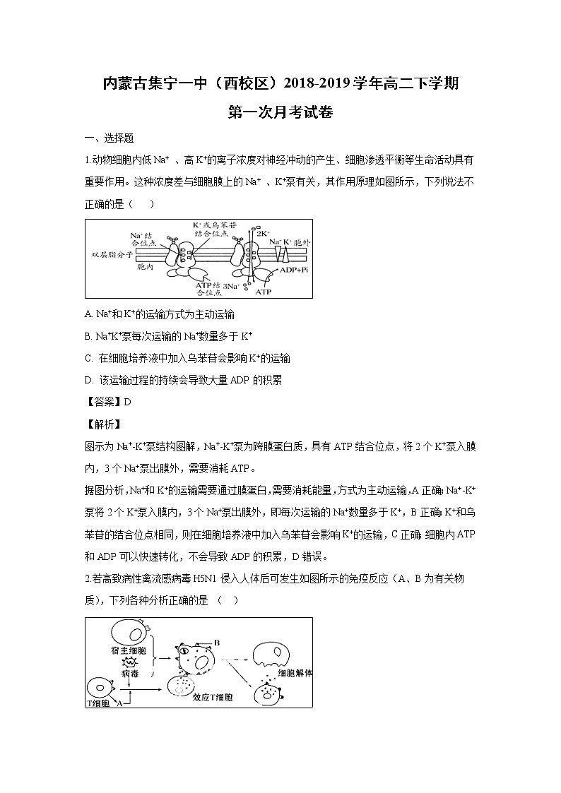 【生物】内蒙古集宁一中(西校区)2018-2019学年高二下学期第一次月考试卷 (解析版)01