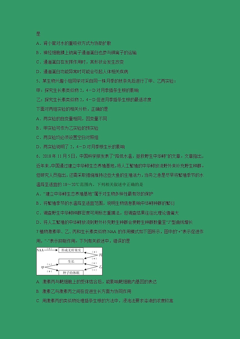 【生物】河南省八市2018-2019学年高二下学期第二次质量检测(一)试题02