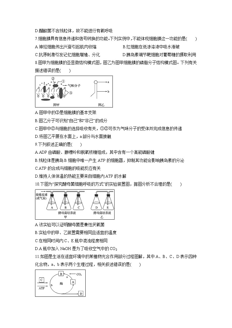 【生物】广东省蕉岭县蕉岭中学2018-2019学年高二下学期第三次月考试题02