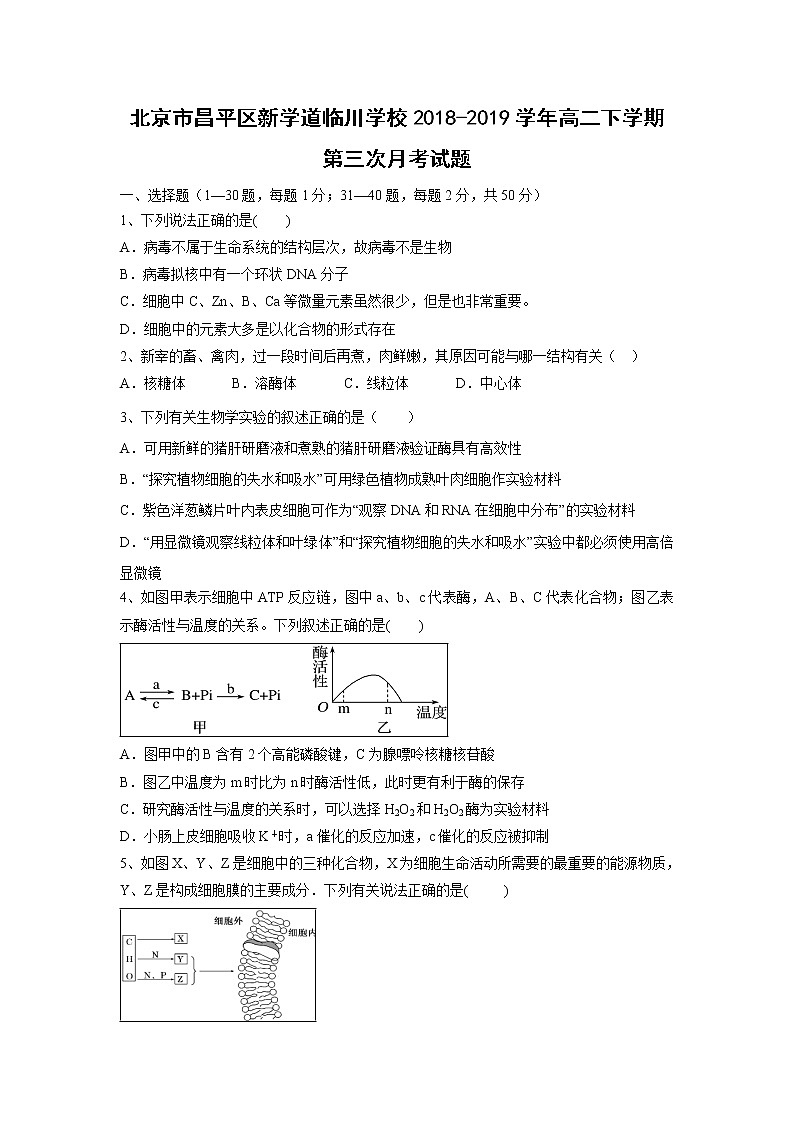 【生物】北京市昌平區(qū)新學(xué)道臨川學(xué)校2018-2019學(xué)年高二下學(xué)期第三次月考試題第1頁