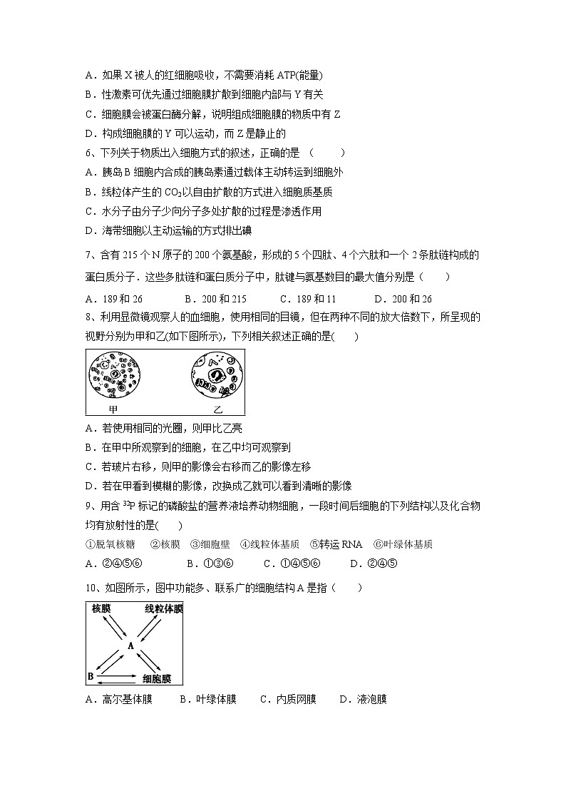 【生物】北京市昌平區(qū)新學(xué)道臨川學(xué)校2018-2019學(xué)年高二下學(xué)期第三次月考試題第2頁