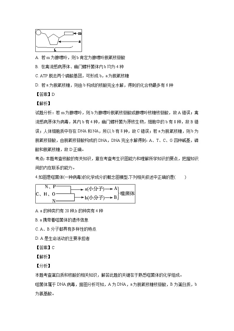 【生物】福建省霞浦县第一中学2018-2019学年高二下学期第一次月考试题(A卷)(解析版)第2页