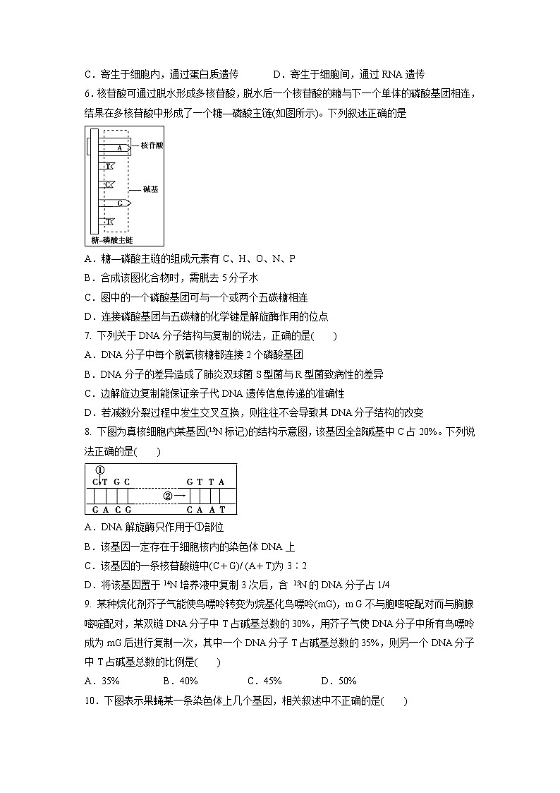 【生物】内蒙古通辽实验中学2018-2019学年高二上学期第一次月考试题02