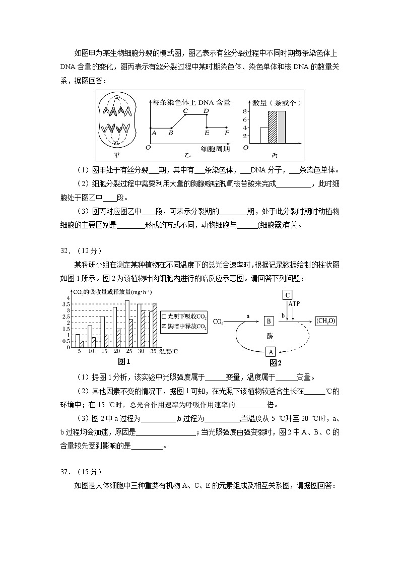 【生物】宁夏银川一中2018-2019学年高二12月阶段性测试理综生物试题第3页