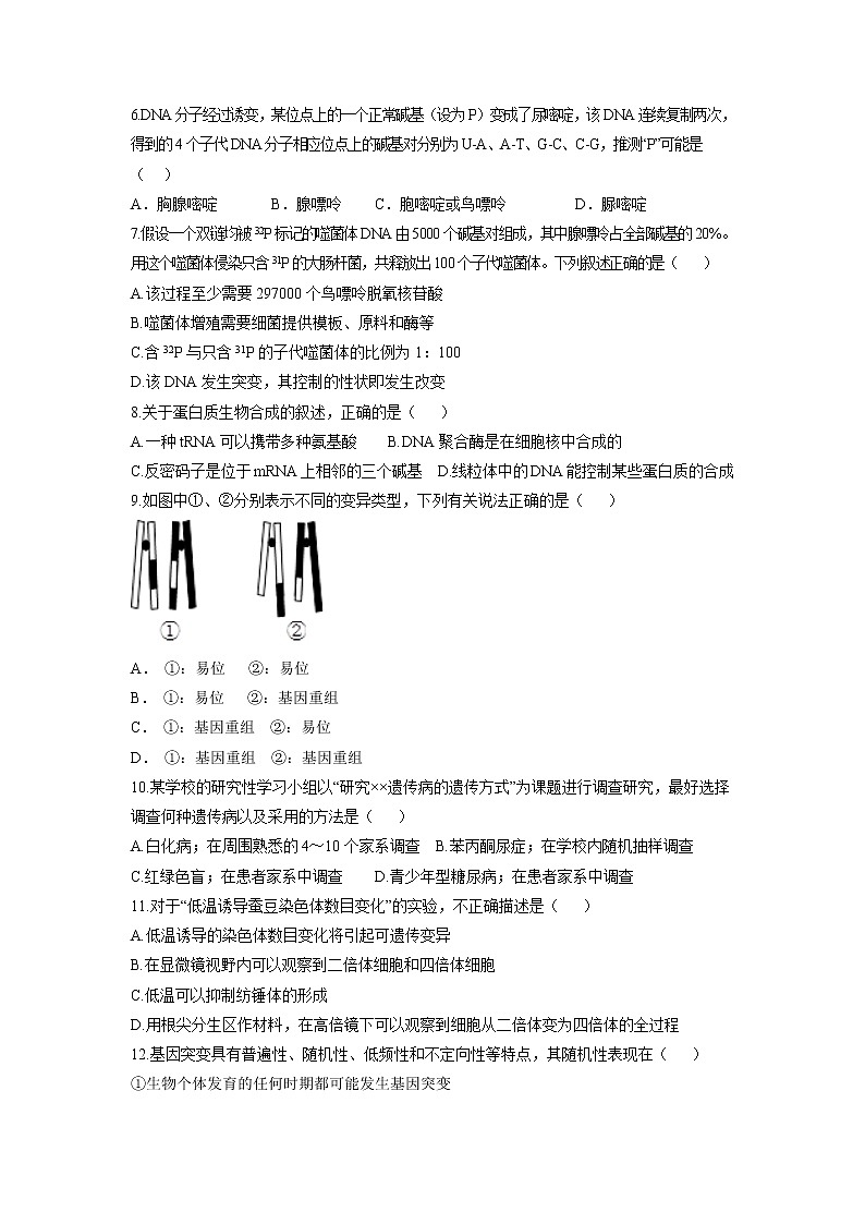 【生物】黑龍江省齊齊哈爾市第八中學2018-2019學年高二11月月考試題第2頁