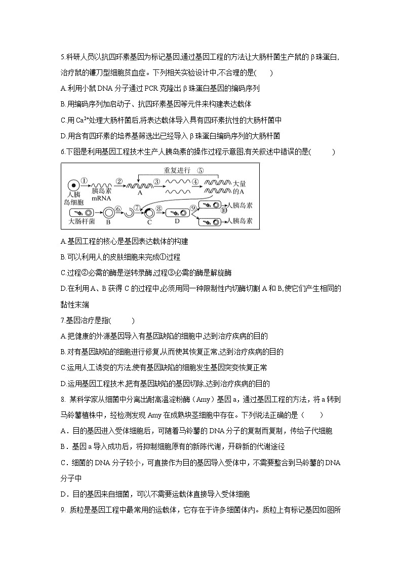 【生物】河南省中牟县第一高级中学2018-2019学年高二上学期第十五次双周考(实验班)试卷02