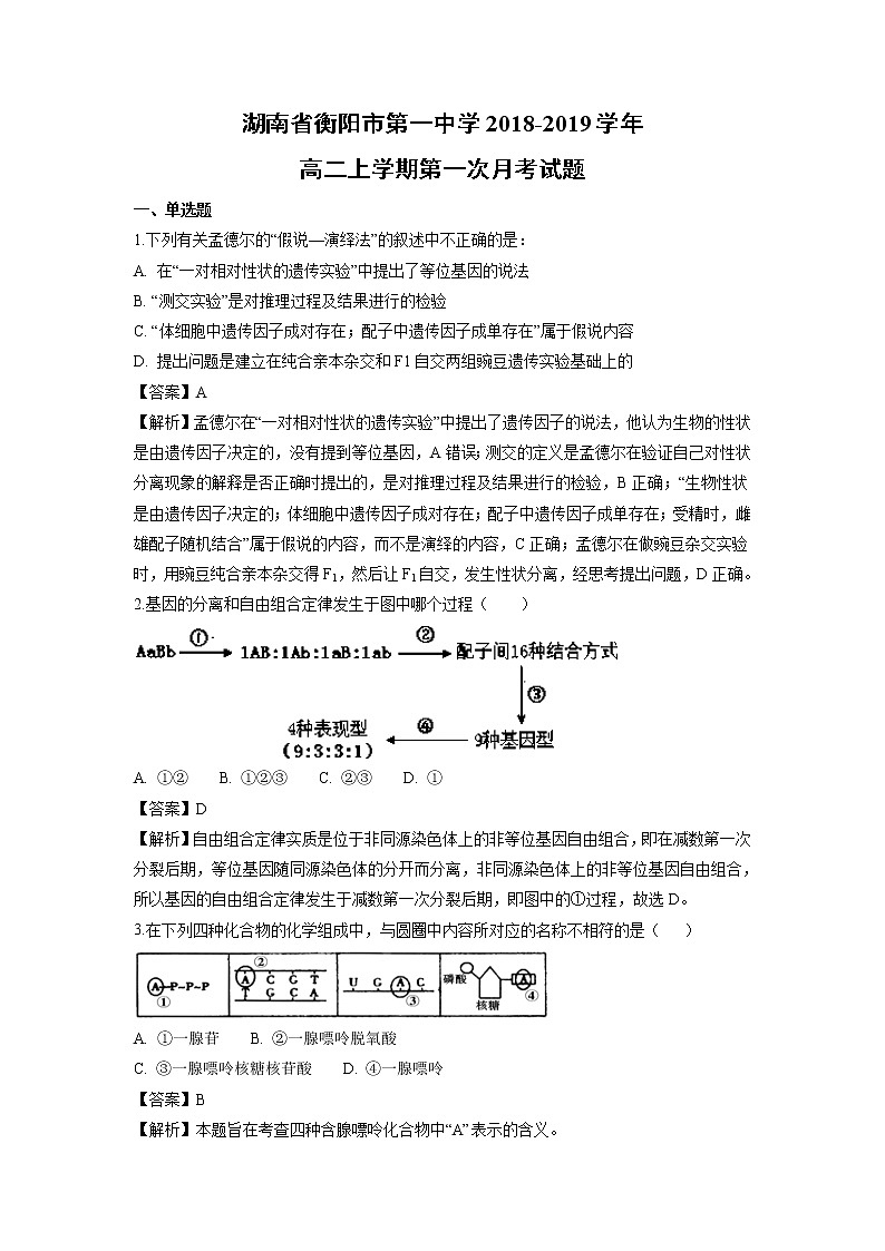 【生物】湖南省衡阳市第一中学2018-2019学年高二上学期第一次月考试题(解析版)01