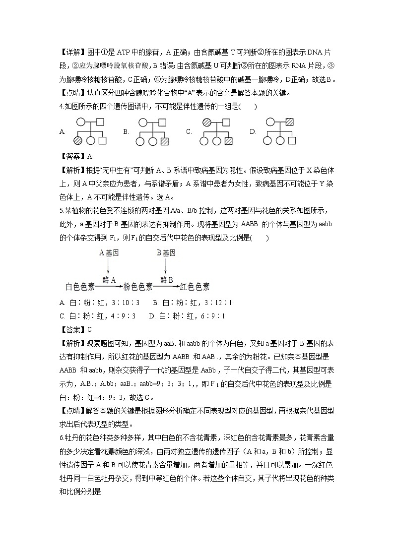 【生物】湖南省衡阳市第一中学2018-2019学年高二上学期第一次月考试题(解析版)02