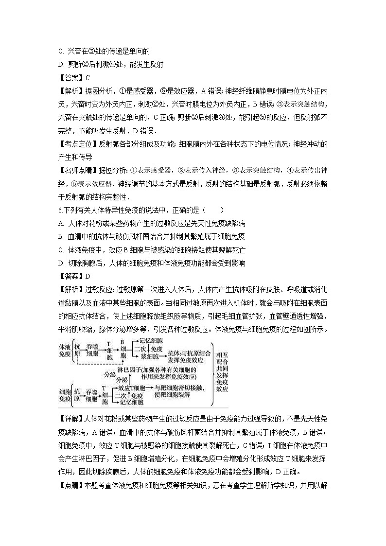 【生物】河北省衡水滁州分校2018-2019学年高二上学期10月调研试题(解析版)第3页