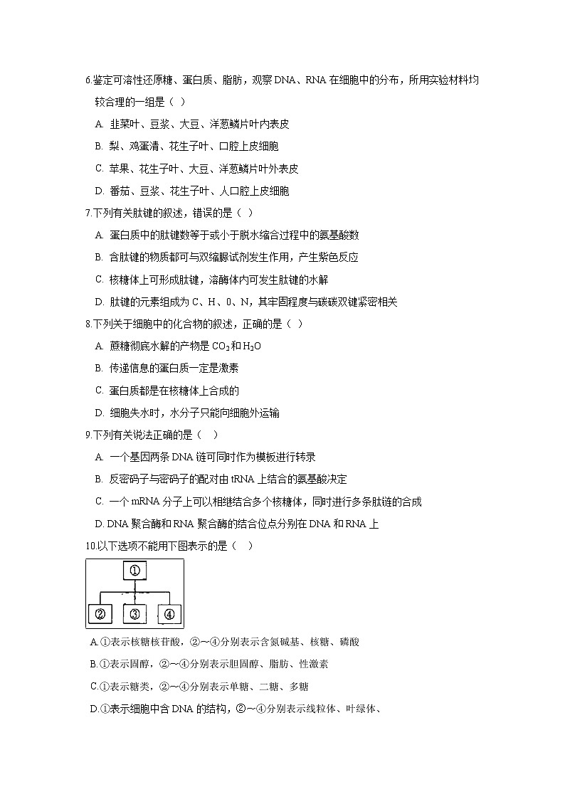 【生物】河北省衡水市安平中学2018-2019学年高二上学期第四次月考普通班试题02