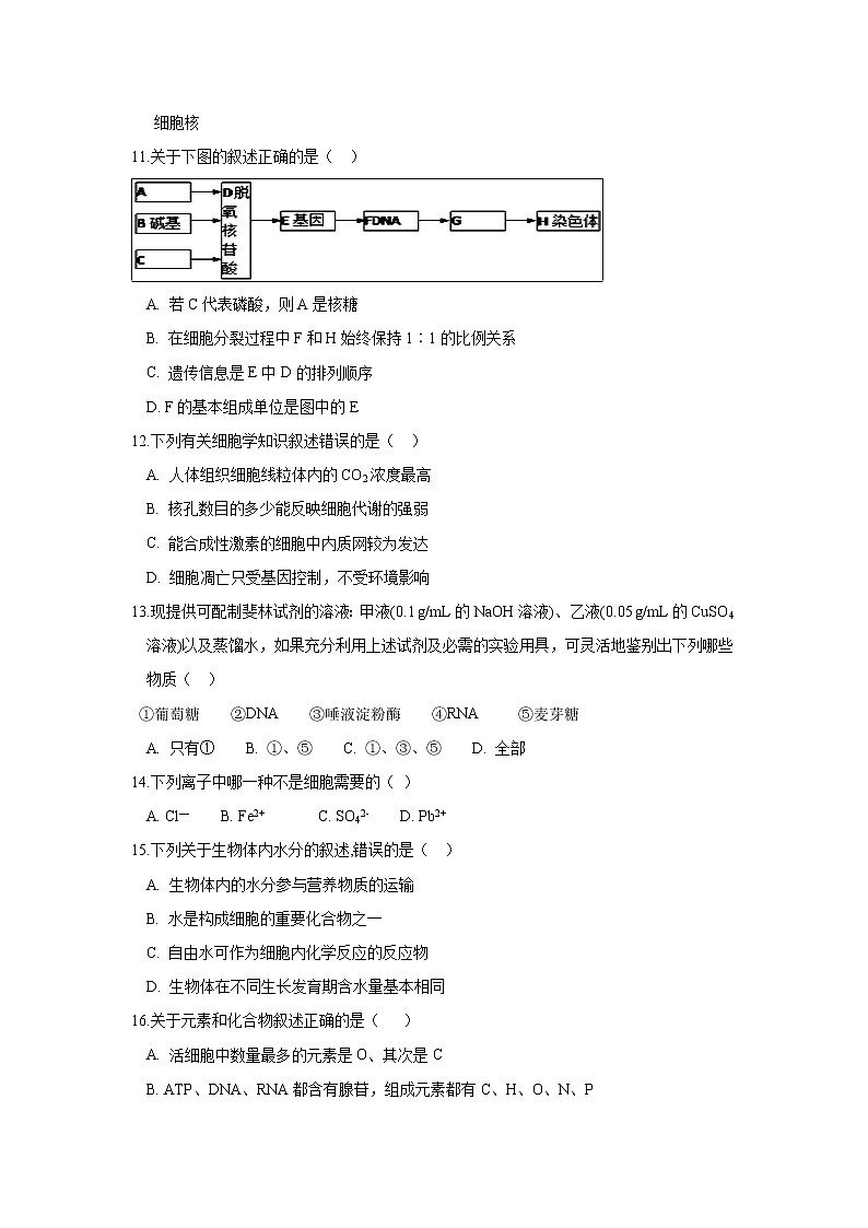【生物】河北省衡水市安平中学2018-2019学年高二上学期第四次月考普通班试题03