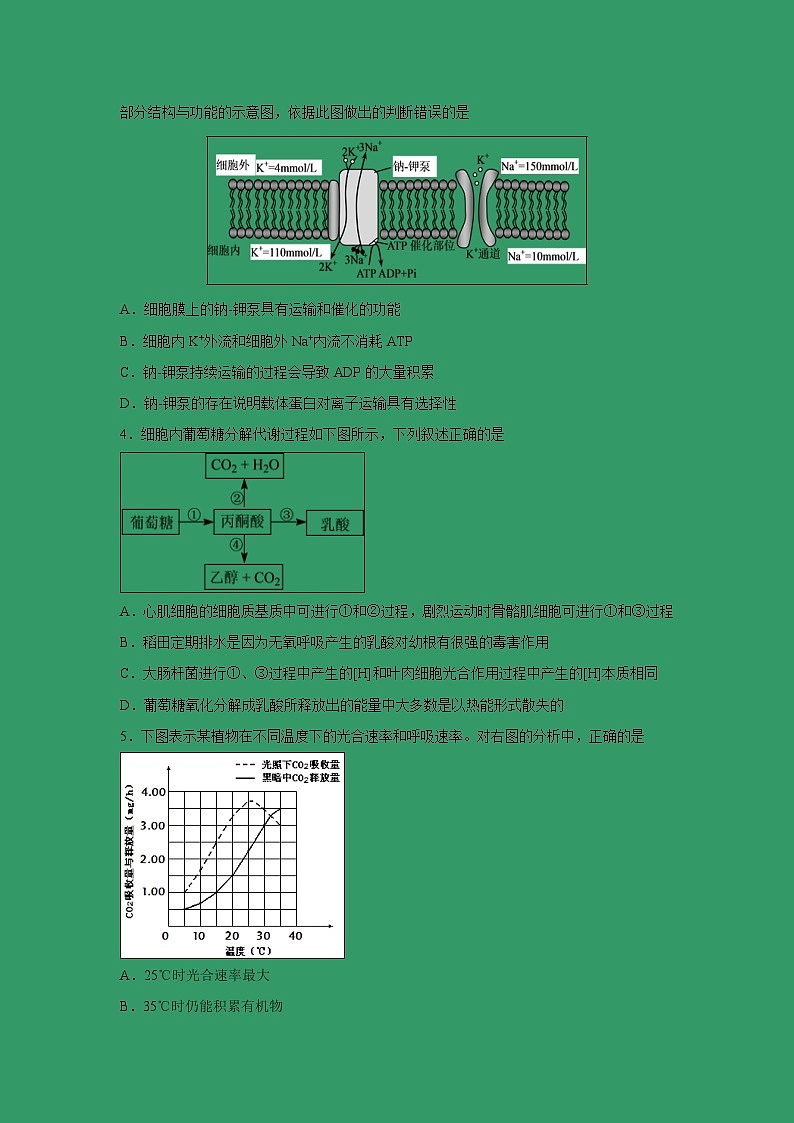 【生物】甘肃省武威第一中学2018-2019学年高二下学期开学考试试题第2页