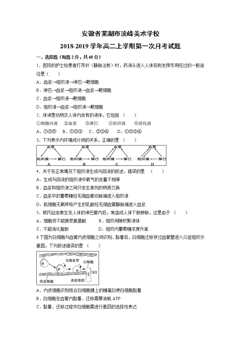【生物】安徽省芜湖市顶峰美术学校2018-2019学年高二上学期第一次月考试题01