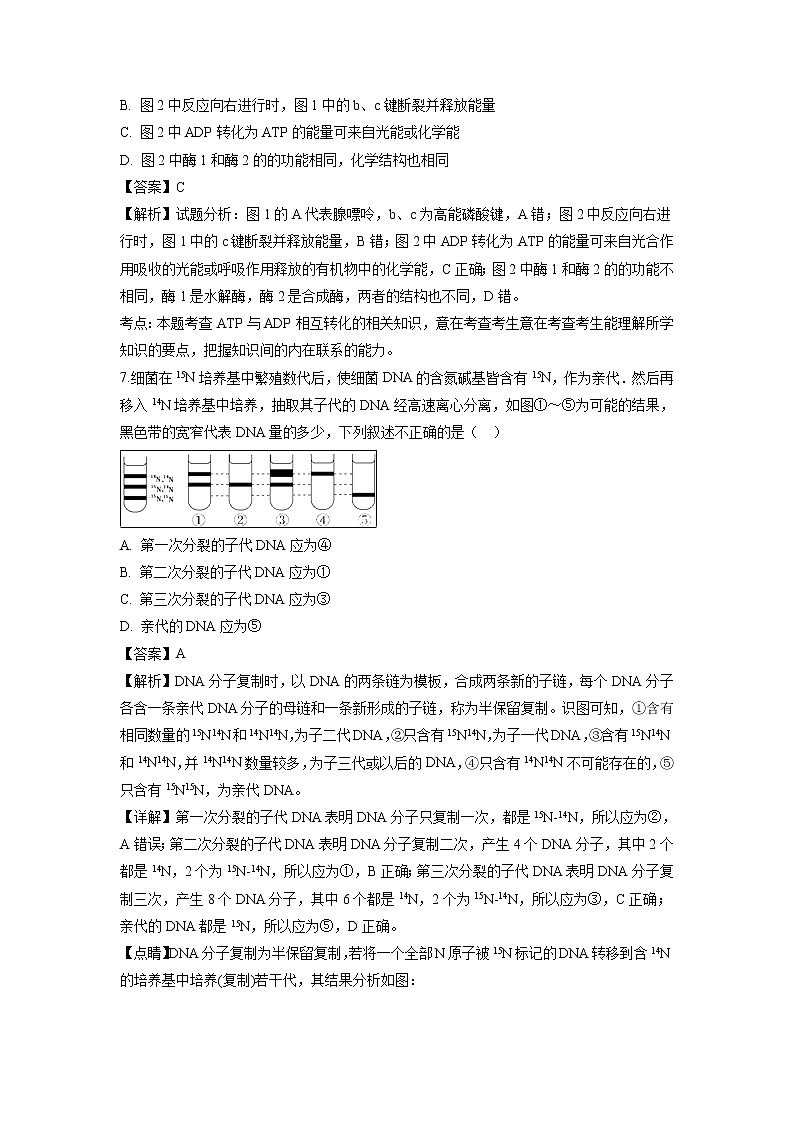 【生物】安徽省定远重点中学2018-2019学年高二上学期开学考试试题(解析版)03