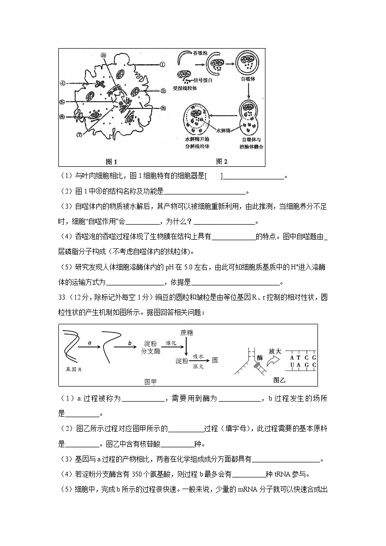 【生物】四川省棠湖中学2018-2019学年高二上学期开学考试理综试题第3页