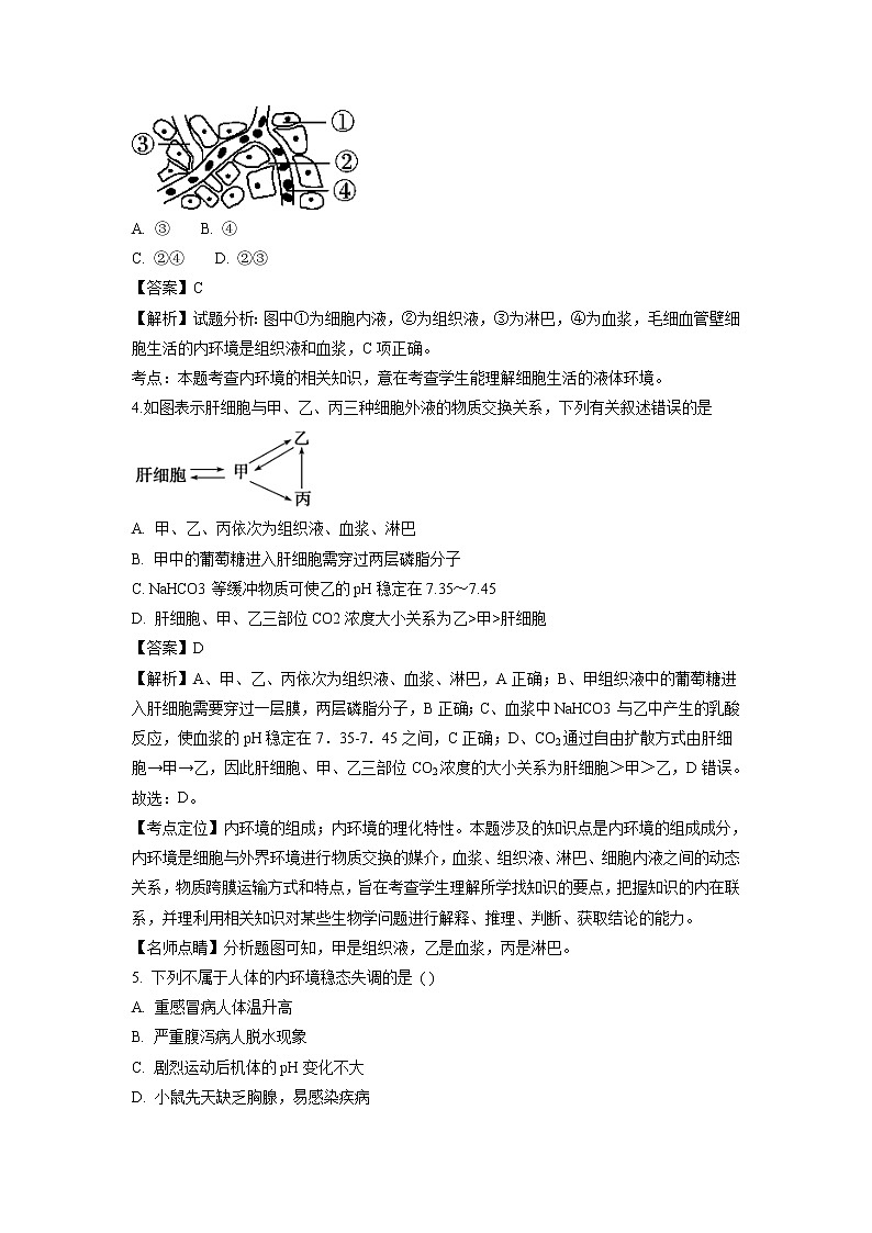 【生物】广西壮族自治区桂林市第十八中学2018-2019学年高二上学期开学考试试题(解析版)02