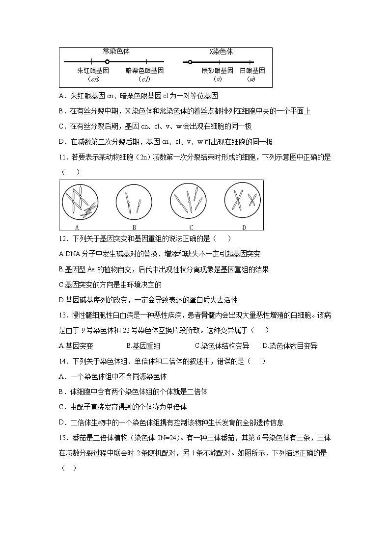 【生物】江西省南昌市安义中学2019-2020学年高二上学期期中考试试题03
