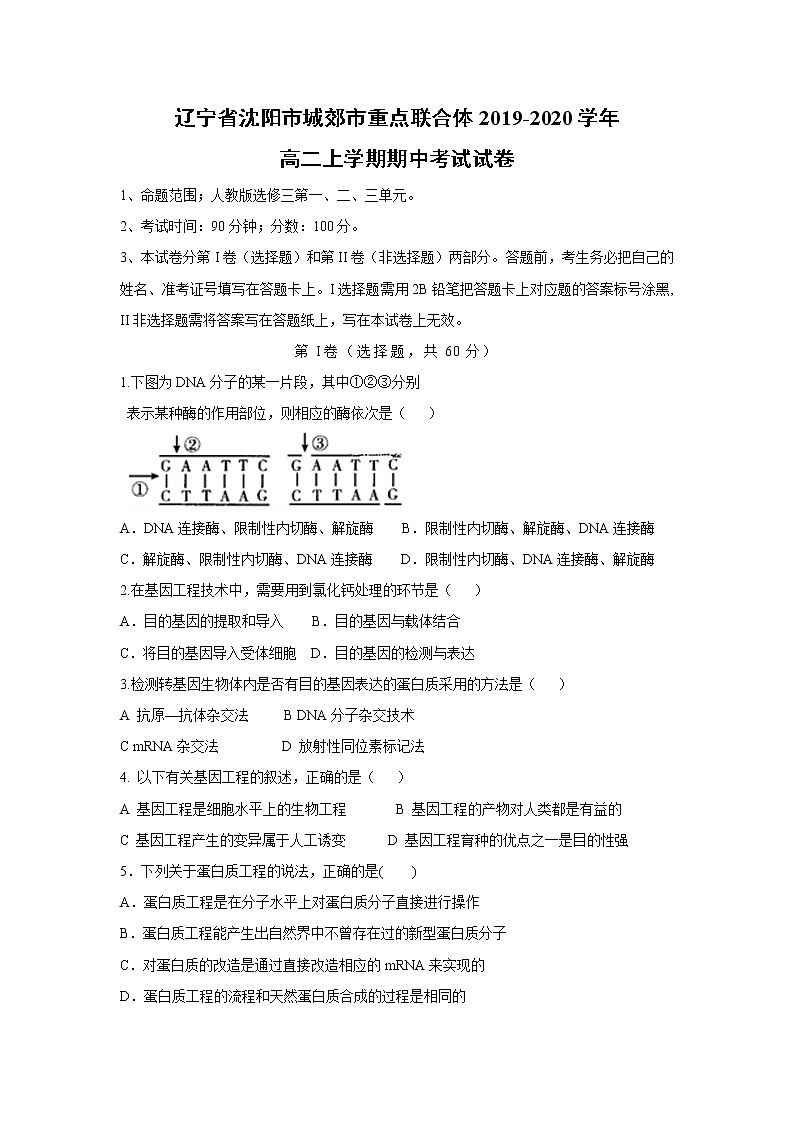 【生物】辽宁省沈阳市城郊市重点联合体2019-2020学年高二上学期期中考试试卷第1页