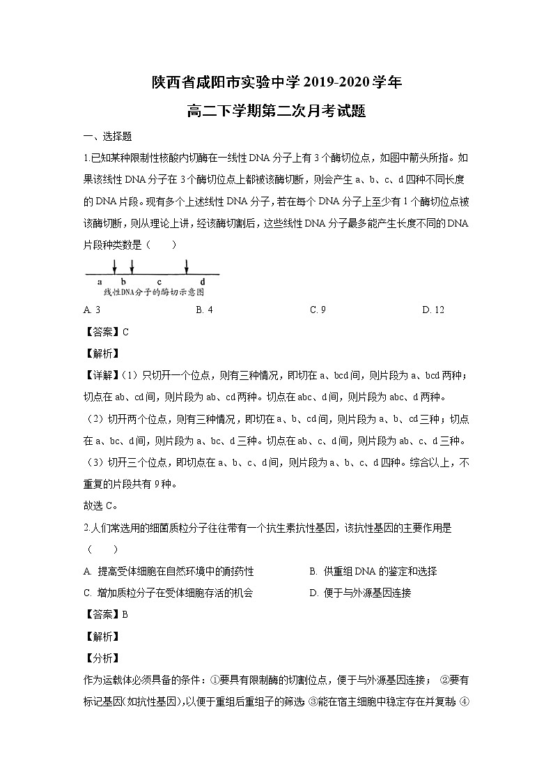 【生物】陕西省咸阳市实验中学2019-2020学年高二下学期第二次月考试题(解析版)第1页