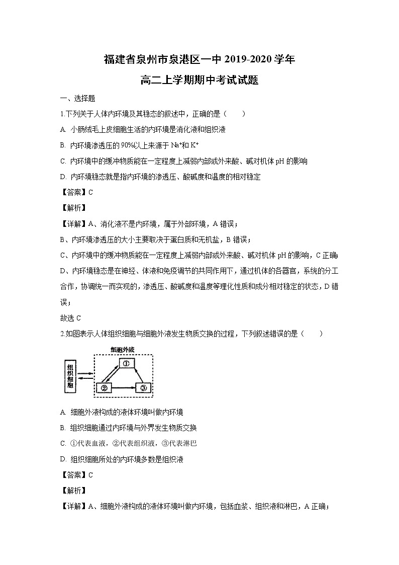 【生物】福建省泉州市泉港区一中2019-2020学年高二上学期期中考试试题(解析版)01